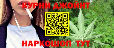 прущие грибы Заволжье