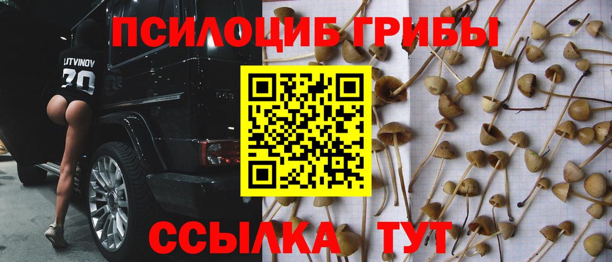 Псилоцибиновые грибы прущие грибы Октябрьский